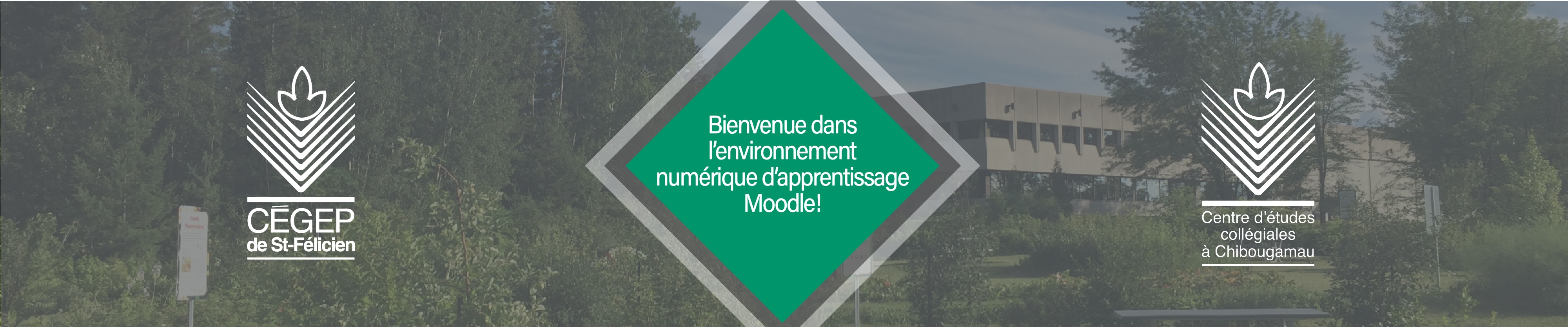 slideshow banner