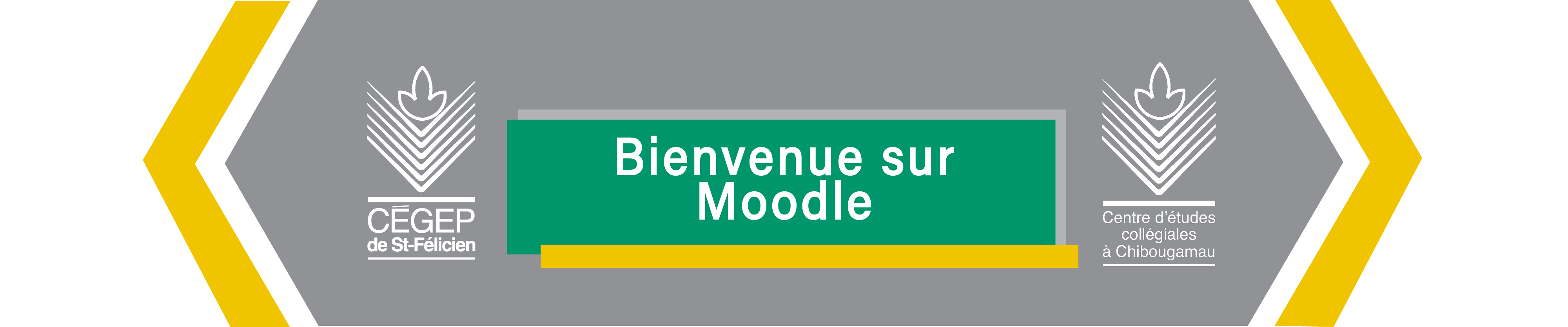 slideshow banner